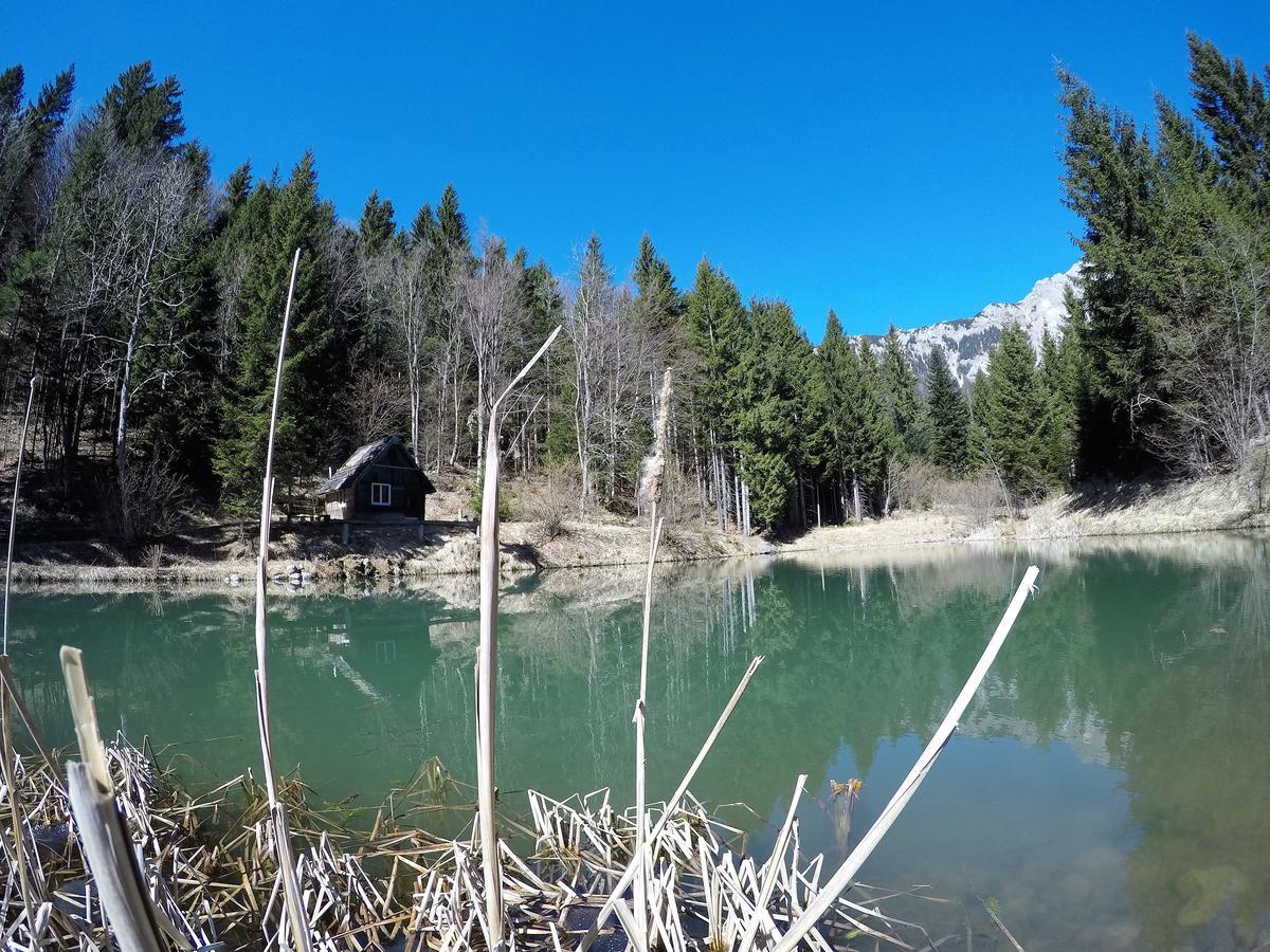 Bed and Breakfast Karami Mountainhouse Tržič Exterior foto